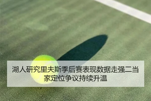 湖人研究里夫斯季后赛表现数据走强二当家定位争议持续升温