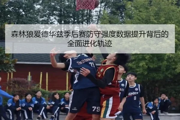 森林狼爱德华兹季后赛防守强度数据提升背后的全面进化轨迹