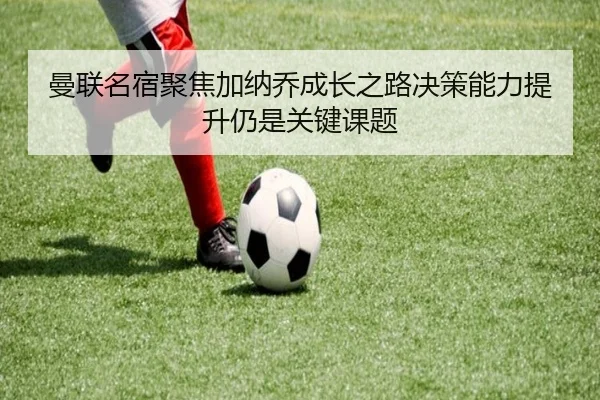 img_1782821838530_535_1_762.jpg